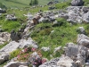 rotwand03.jpg